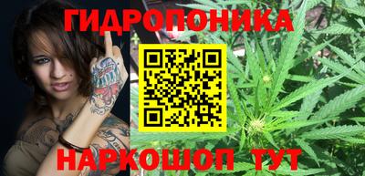 ПСИЛОЦИБИНОВЫЕ ГРИБЫ Новокубанск