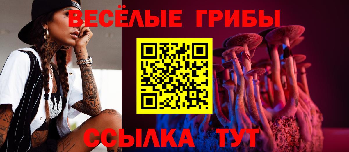 Северск  Псилоцибиновые грибы Magic Shrooms  Вход с VPN  Галлюциногенные грибы мицелий 