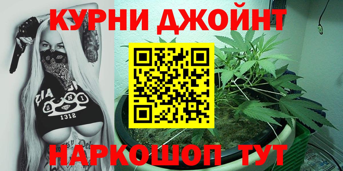 Бошки Шишки планчик Северск